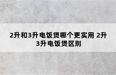 2升和3升电饭煲哪个更实用 2升3升电饭煲区别